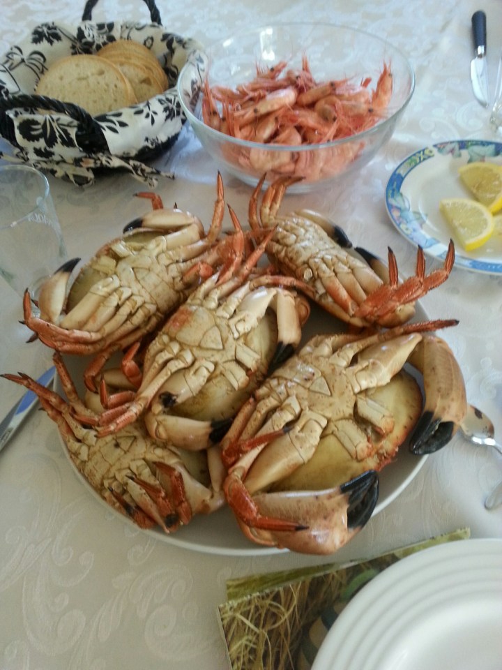 20140728_181306_resized