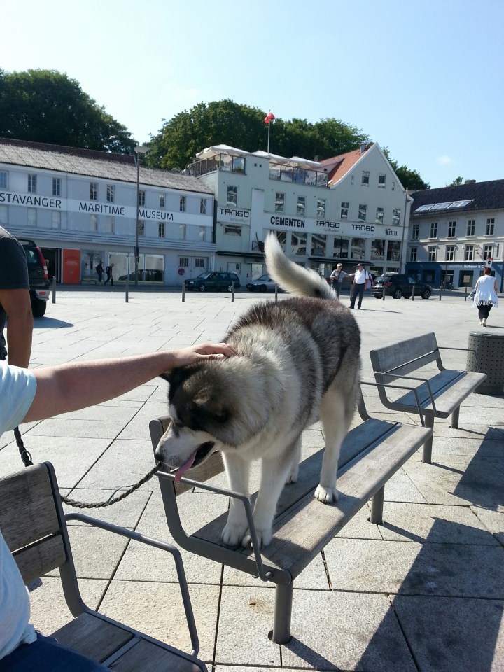 20140728_160240_resized