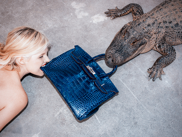 gator-birkin-2